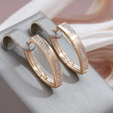 14 Karat Gold Filled Trendy AAA Cubic Zircon Diamonds Luxury Hoop Vintage Earrings
