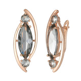 14 Karat Gold Filled Grey AAA Zircon Crystals Luxury Long Dangle Earrings For Women
