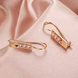 14K Rolled Gold Piercing Glossy AAA Zircon Diamonds Hang String Earrings Unusual Jewellery