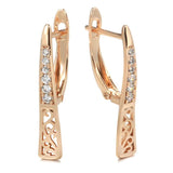 Exquisite 14K Filled Rose Gold AAA Zircon Diamonds Drop Earrings For Women - Fashion Creative Design Fine Jewellery