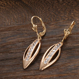14 Karat Gold Filled Elegant AAA Zircon Diamonds Delicate Drop Luxury Earrings for Women