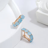 14K Gold Filled Frosted Blue AAA Zircon Crystals Drop Personality Earrings for Women