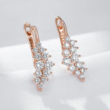14K Rolled Gold Shiny Grapes Design AAA Zircon Diamonds Geometry Drop Earrings For Women