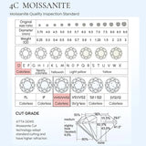 Moissanite Diamonds D Colour VVS1 Silver GRA Certificated Stud Earrings