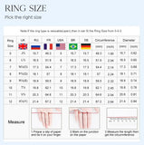 Stunning 3CT VVS1 D Colour Big Moissanite Diamond Double CZ Heart Ring Fine Jewellery