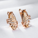 14 Karat Gold Filled Unique Geometry Fashion Brown AAA Zircon Crystals Earrings for Women