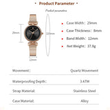 Top Brand Leisure Fashion New Women's Watch 29mm Mini Dial Stainless Steel Mesh Strap Nordic 3Bar Waterproof Watches