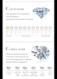 New Arrival D Colour VVS1 3.0 Carat Moissanite Diamonds Stud Earrings for Women - Sterling Silver Fine Jewellery - The Jewellery Supermarket