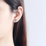 Stunning WGP 0.3-2CT Real Moissanite Diamonds Stud Earrings for Women - Sparkling Sterling Silver Fine Jewellery - The Jewellery Supermarket