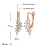 14K Rolled Gold Shiny Grapes Design AAA Zircon Diamonds Geometry Drop Earrings For Women