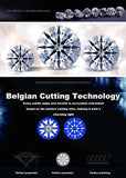 Amazing Custom 1CT Heart Design Rhodium Plated High Quality Moissanite Diamonds - Fine Jewellery