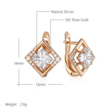 14 Karat Gold Filled Luxury Shiny Square AAA Zircon Princess Cut Diamond Earrings
