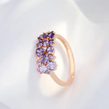 14 Karat Rolled Gold Shiny Purple AAA Zircon Crystals Fine Jewellery Trendy Rings