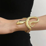 Hot Popular Gothic Unisex Snake-shaped Open Bracelets For Woman - Punk Hip-Hop Texture Bangles Party Jewellery