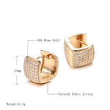 Excellent Square Rolled 14K Rose Gold Fashion AAA Zircon Diamonds Earrings -  Luxury Trendy Fine Jewellery