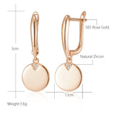 14 Karat Filled Gold Disc AAA Zircon Diamonds Easy Matching Trendy Dangle Earrings