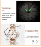 Elegant Luxury Zircon Diamond Rose Gold Colour Stainless Steel Waterproof Date Ladies Dress Wristwatches, Ideal Gift