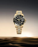 New PD-1662 V5 Luxury Ceramic Bezel Automatic 100M Waterproof GMT Mechanical Watches for Men - The Jewellery Supermarket