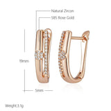 Simple Fashion 14K Rolled Rose Gold White Zircon Diamonds Drop Earrings For Women - High Quality Jewellery