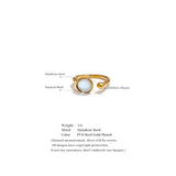 18K Gold Plated Fashion Stainless Steel Natural Shell Fritillary Geometric Ring