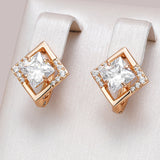 14 Karat Gold Filled Luxury Shiny Square AAA Zircon Princess Cut Diamond Earrings