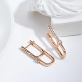 Luxury Trendy Geometric 14K Filled Rose Gold AAA Zircon Diamonds Earrings - High Quality Fine Jewellery