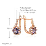 Vintage Style 14K Rolled Rose Gold Full AAA Zircon Crystal Surround Purple Drop Sparkling Earrings for Women