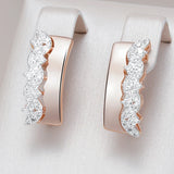 14K Gold Filled Luxury AAA Zircon Diamonds Petal Shiny Dangle Earrings Fine Jewellery