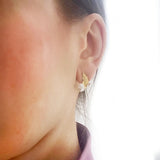 Feather Branch Real Multicolour Pearls AAA Zircon Diamonds Silver Stud Earrings