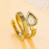 Luxury Brand Selection Snake Shape CZ Diamonds Iced Out Analog Quartz Watches