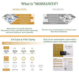 Marvelous 2.0ct VVS1 Moissanite Drop Hook Earrings - Dangle Earrings for Special Occasions Fine Jewellery - The Jewellery Supermarket