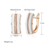 Glossy Simple Stylish AAA Zircon Diamonds Full Paved 14K Rolled Rose Gold Earrings For Women - Fine Jewellery