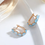 14K Gold Filled Frosted Blue AAA Zircon Crystals Drop Personality Earrings for Women