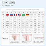 Luxury 1CT VVS1 D Colour Moissanite Diamond Ring Fine Jewellery
